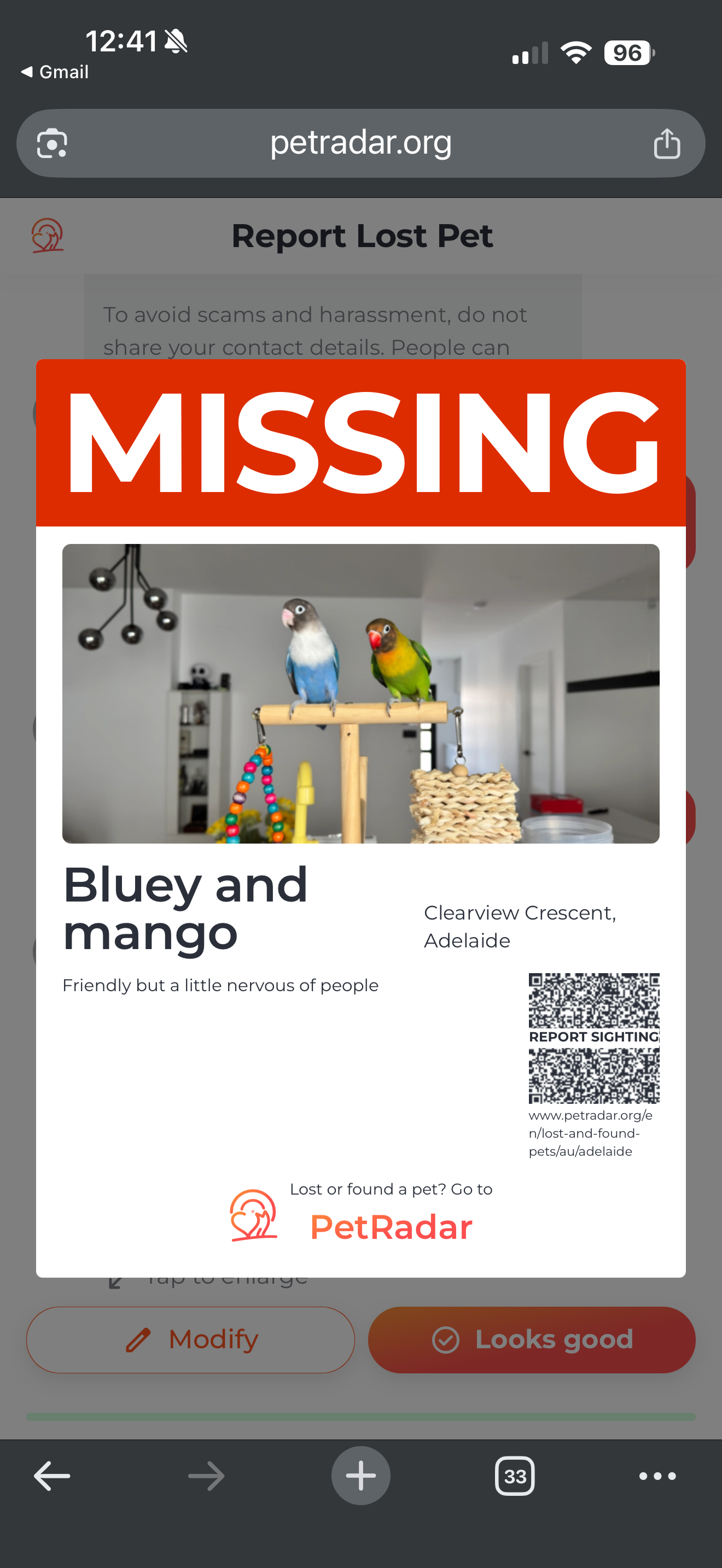 Lost pets Adelaide, photo: Lost Parrot: Nervous, Flew Off in Storm
