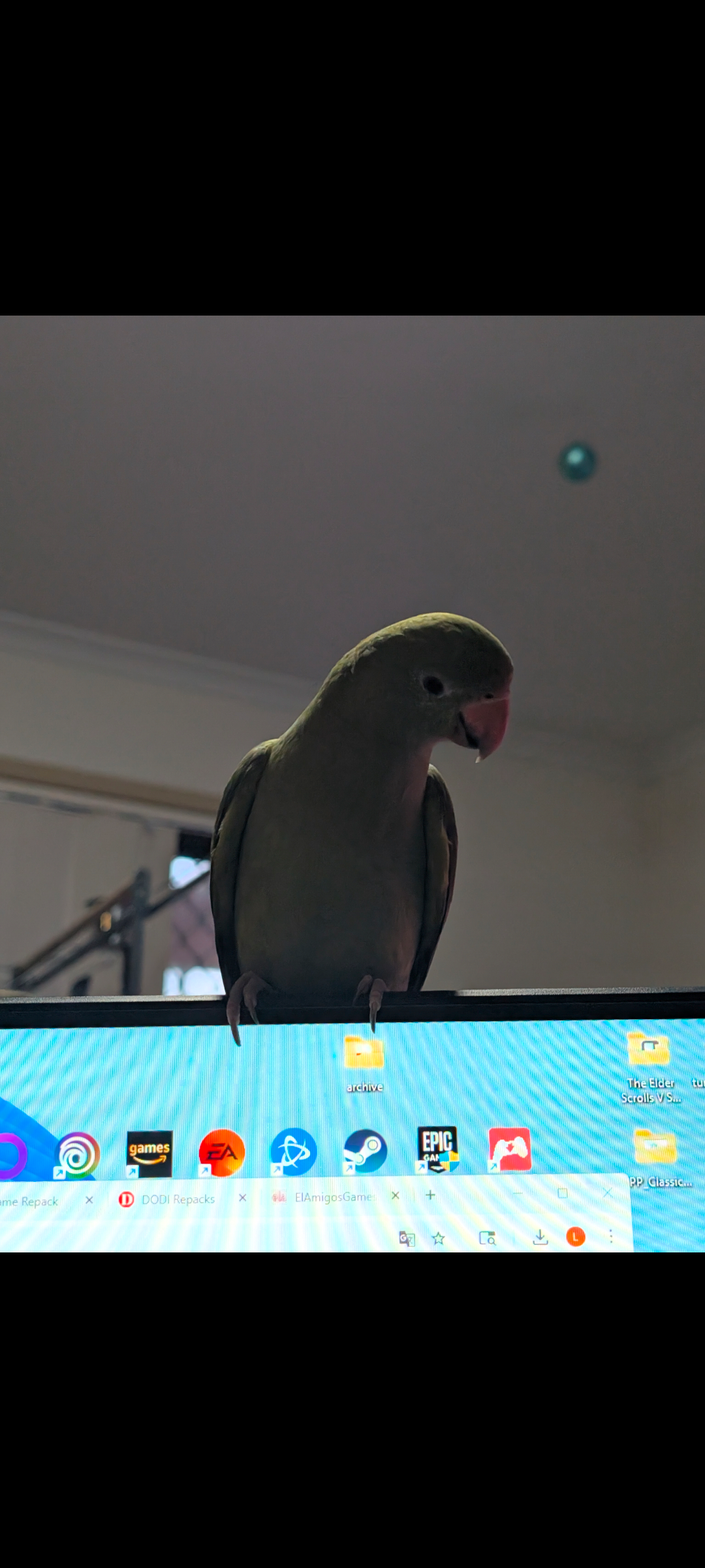 Lost Friendly Green Indian Rin...